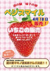 ベジスマイル販売企画【いちごの販売】のお知らせ