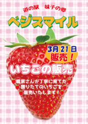 ベジスマイル販売企画【いちごの販売】のお知らせ